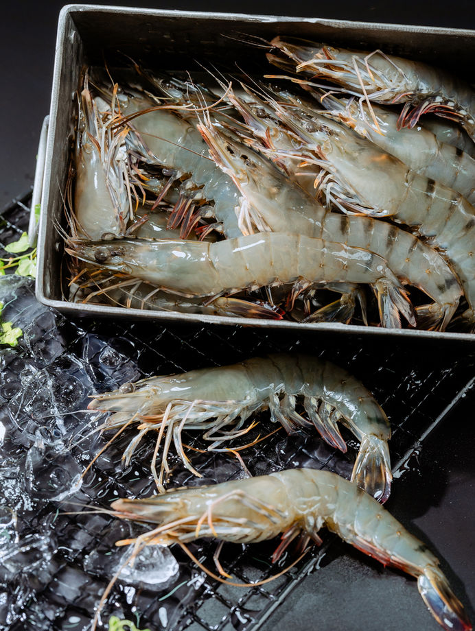 Food and product photography sample in Kuantan 03